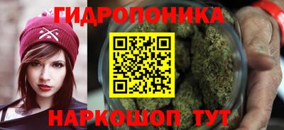 меф Кингисепп