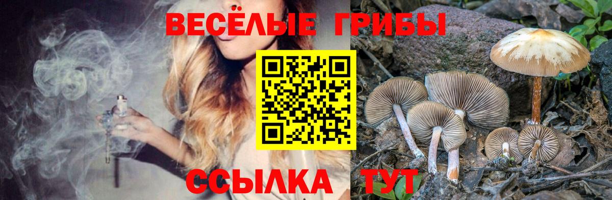 Галлюциногенные грибы прущие грибы  Вход с VPN  Балашов 
