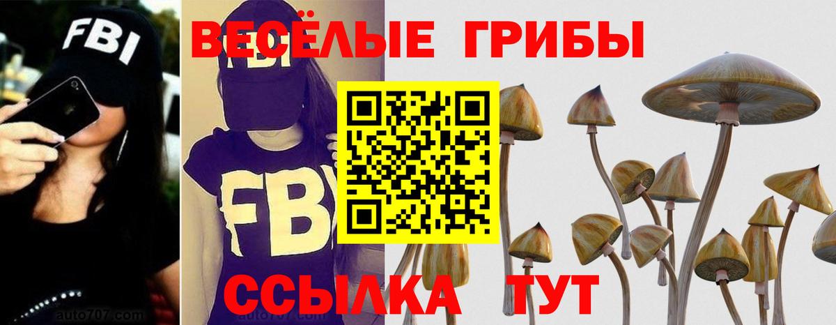 Псилоцибиновые грибы прущие грибы Балашов